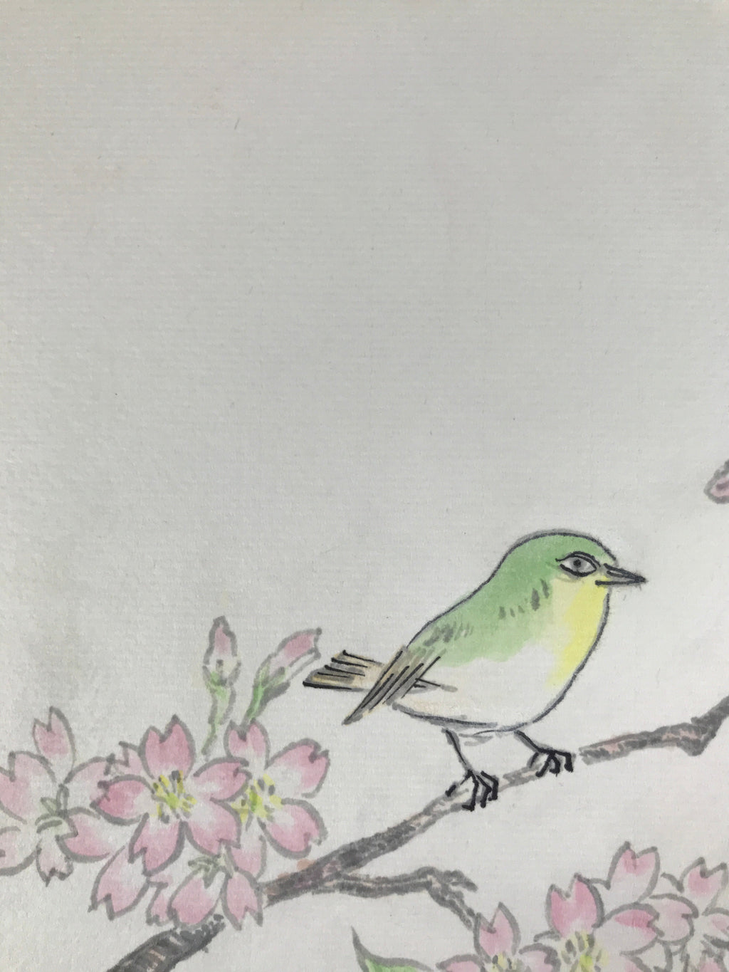 Japanese Shikishi Art Board Painting Vtg Green Bird Cherry Blossoms Sakura A656