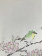 Japanese Shikishi Art Board Painting Vtg Green Bird Cherry Blossoms Sakura A656