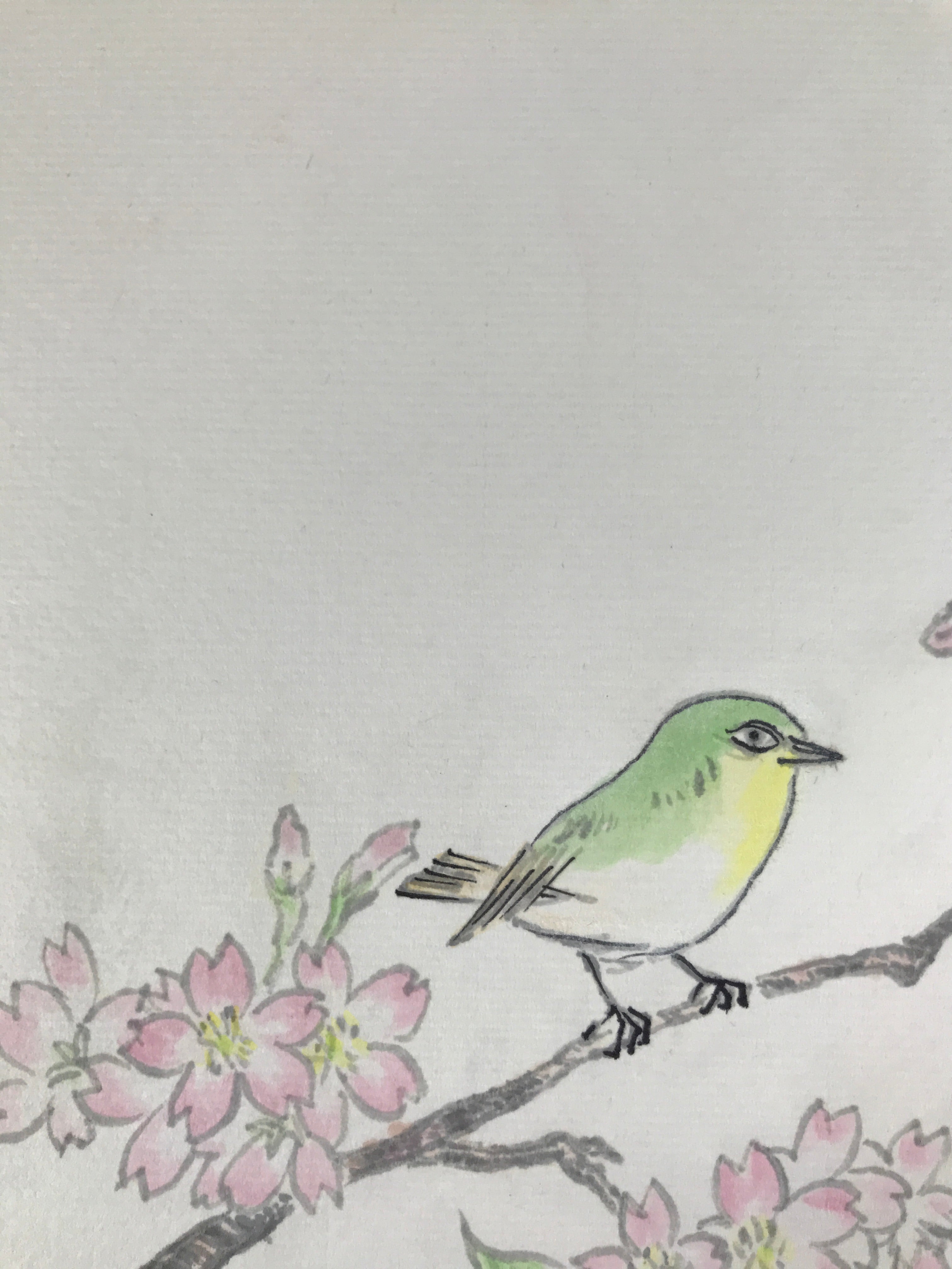 Japanese Shikishi Art Board Painting Vtg Green Bird Cherry Blossoms Sakura A656