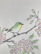Japanese Shikishi Art Board Painting Vtg Green Bird Cherry Blossoms Sakura A656