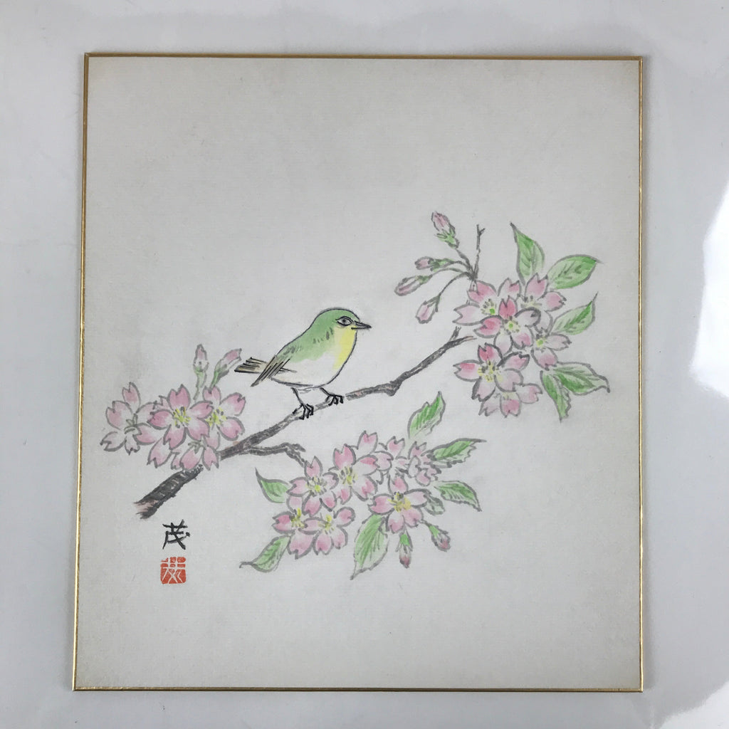 Japanese Shikishi Art Board Painting Vtg Green Bird Cherry Blossoms Sakura A656