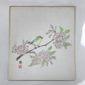 Japanese Shikishi Art Board Painting Vtg Green Bird Cherry Blossoms Sakura A656