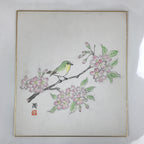 Japanese Shikishi Art Board Painting Vtg Green Bird Cherry Blossoms Sakura A656