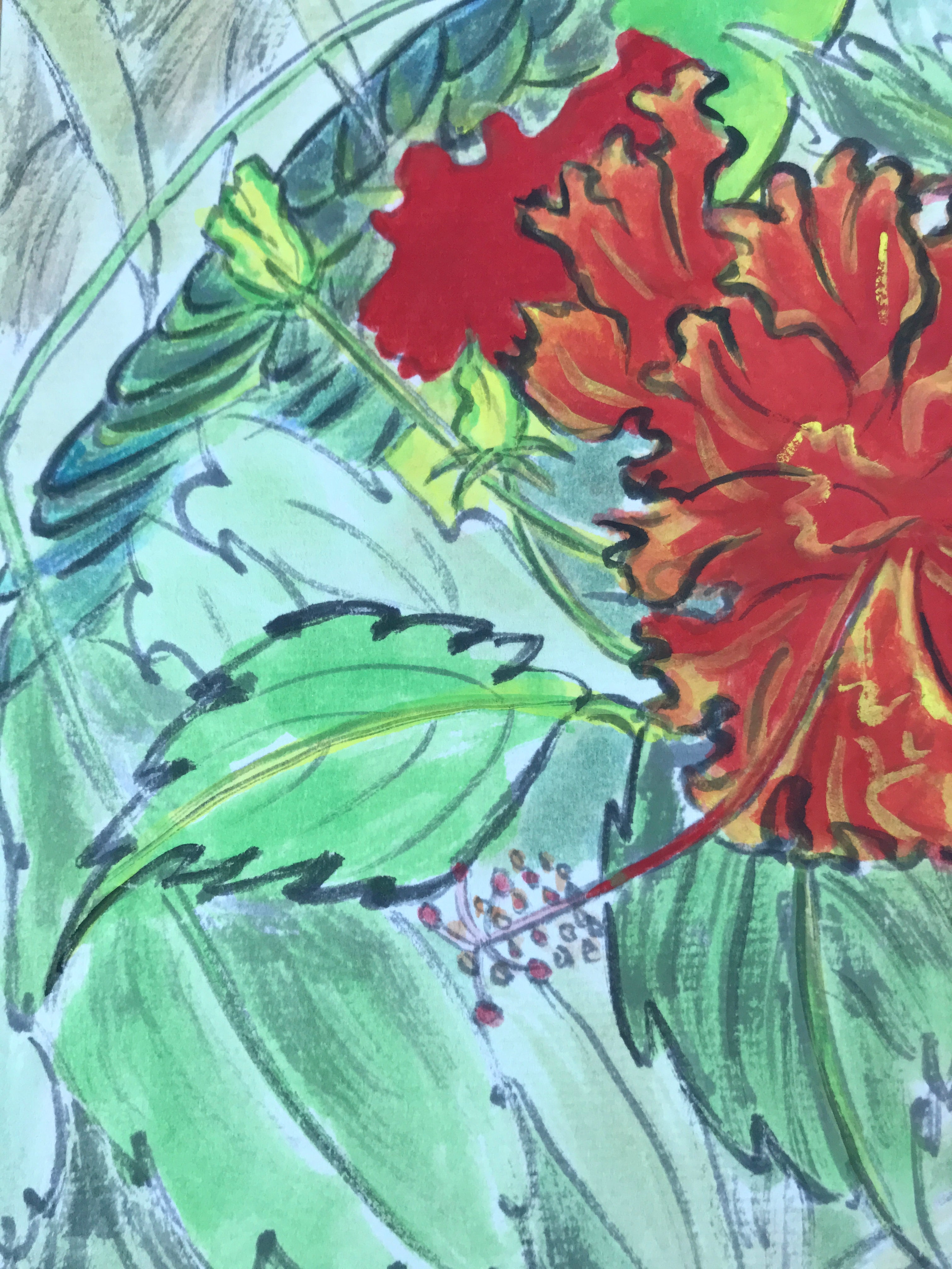 Japanese Shikishi Art Board Painting Vtg Green Parakeet Parrot Red Hibiscus A655
