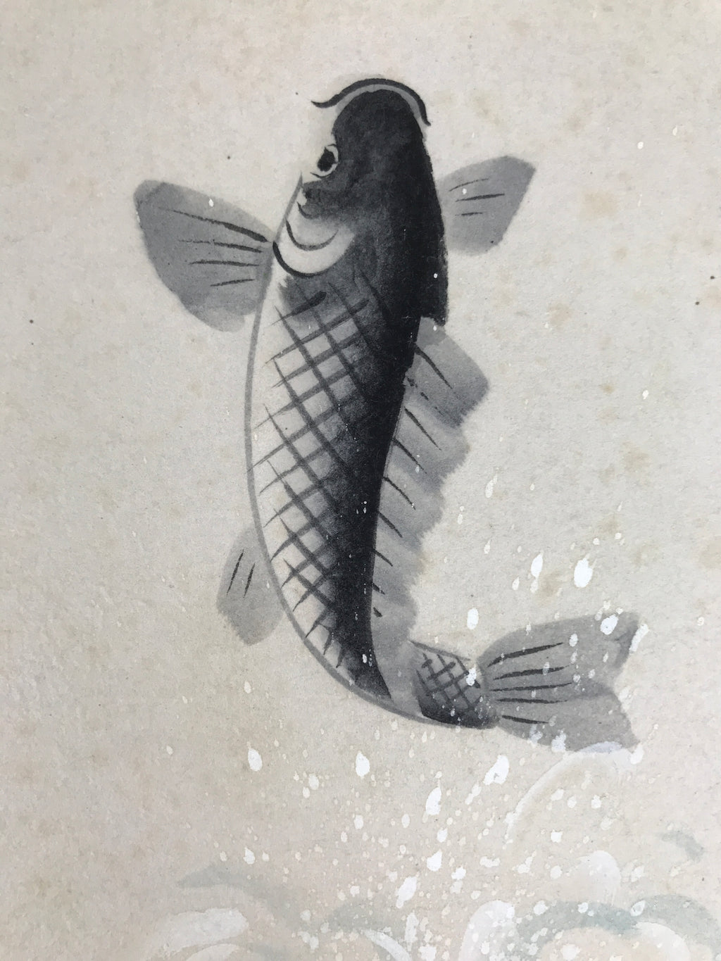Japanese Shikishi Art Board Painting Vtg Jumping Carp Fish River Black A688