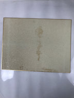 Japanese Shikishi Art Board Painting Vtg Kingfisher Bird Flowers Pink FL380