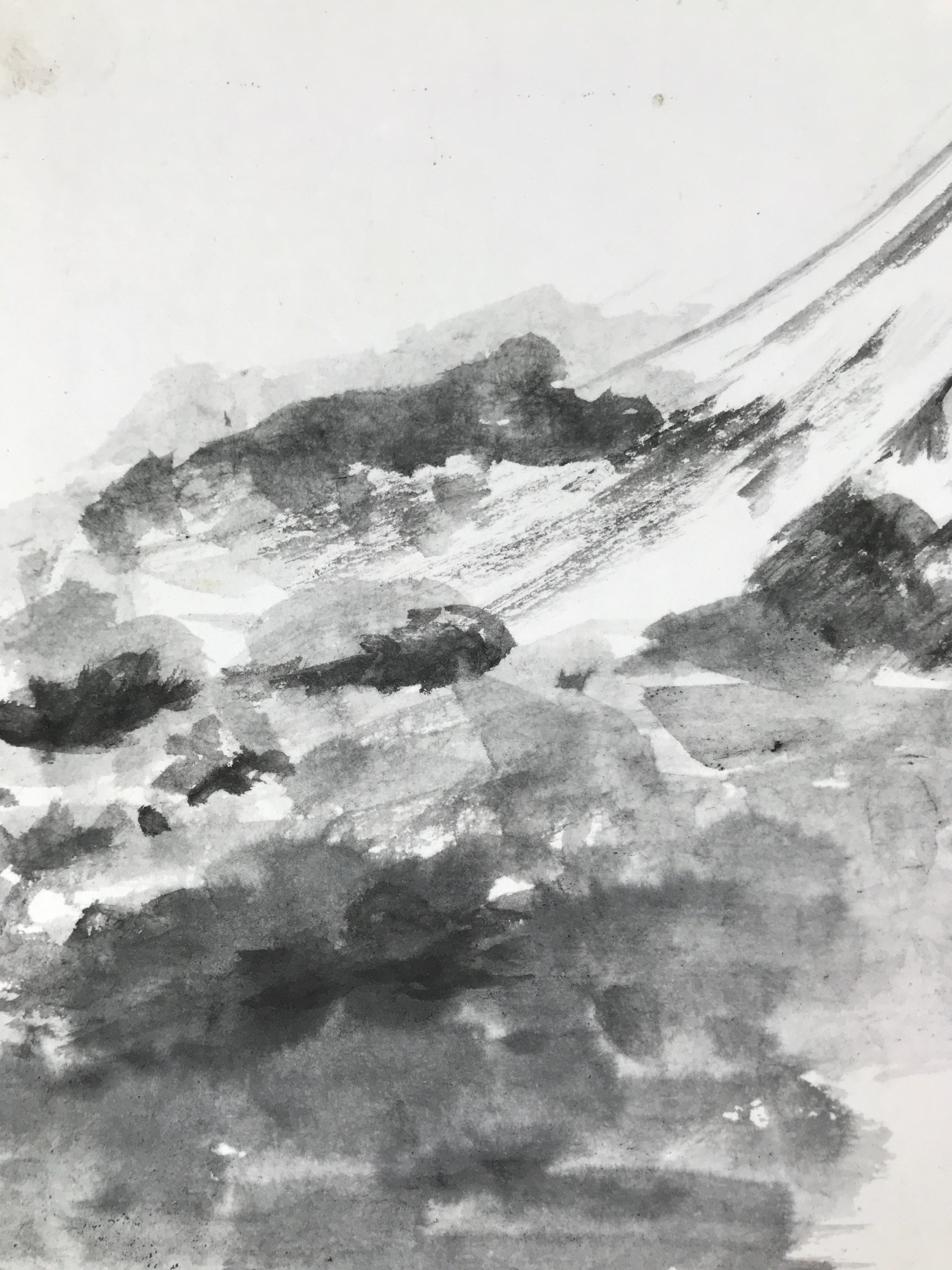 Japanese Shikishi Art Board Painting Vtg Mt. Fuji Landscape Black White A654