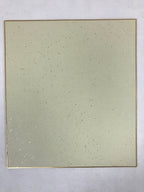 Japanese Shikishi Art Board Painting Vtg Ocean Striped Fish Black White A561