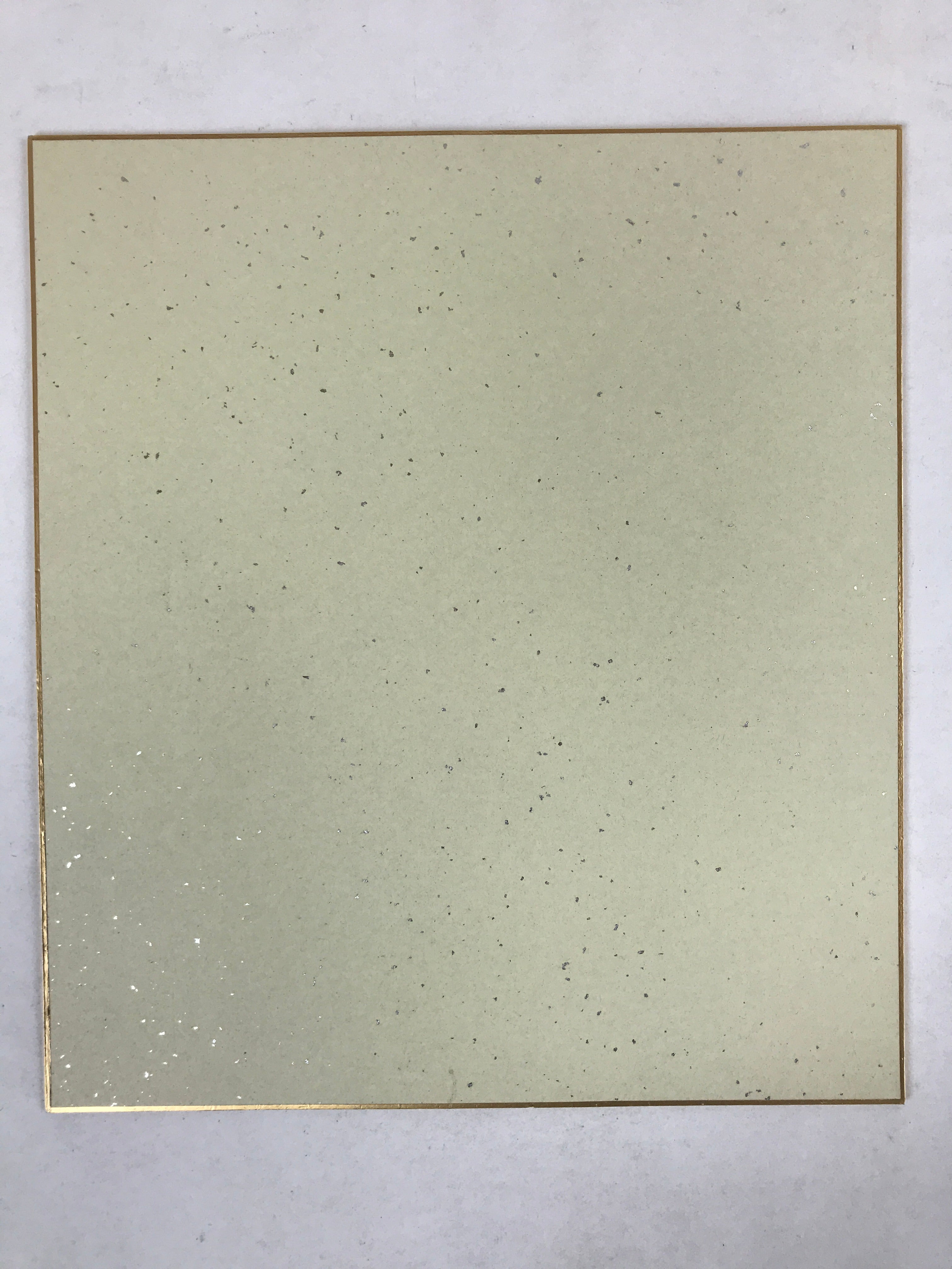 Japanese Shikishi Art Board Painting Vtg Ocean Striped Fish Black White A561