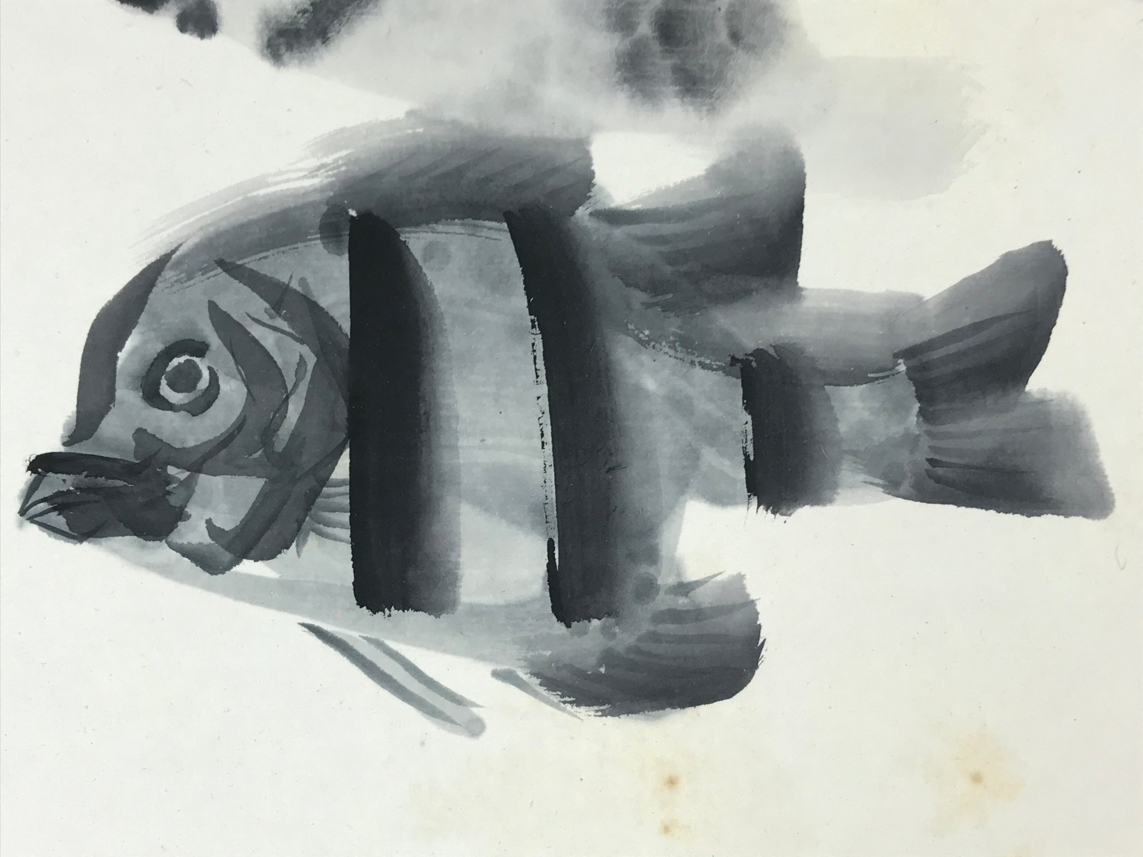 Japanese Shikishi Art Board Painting Vtg Ocean Striped Fish Black White A561