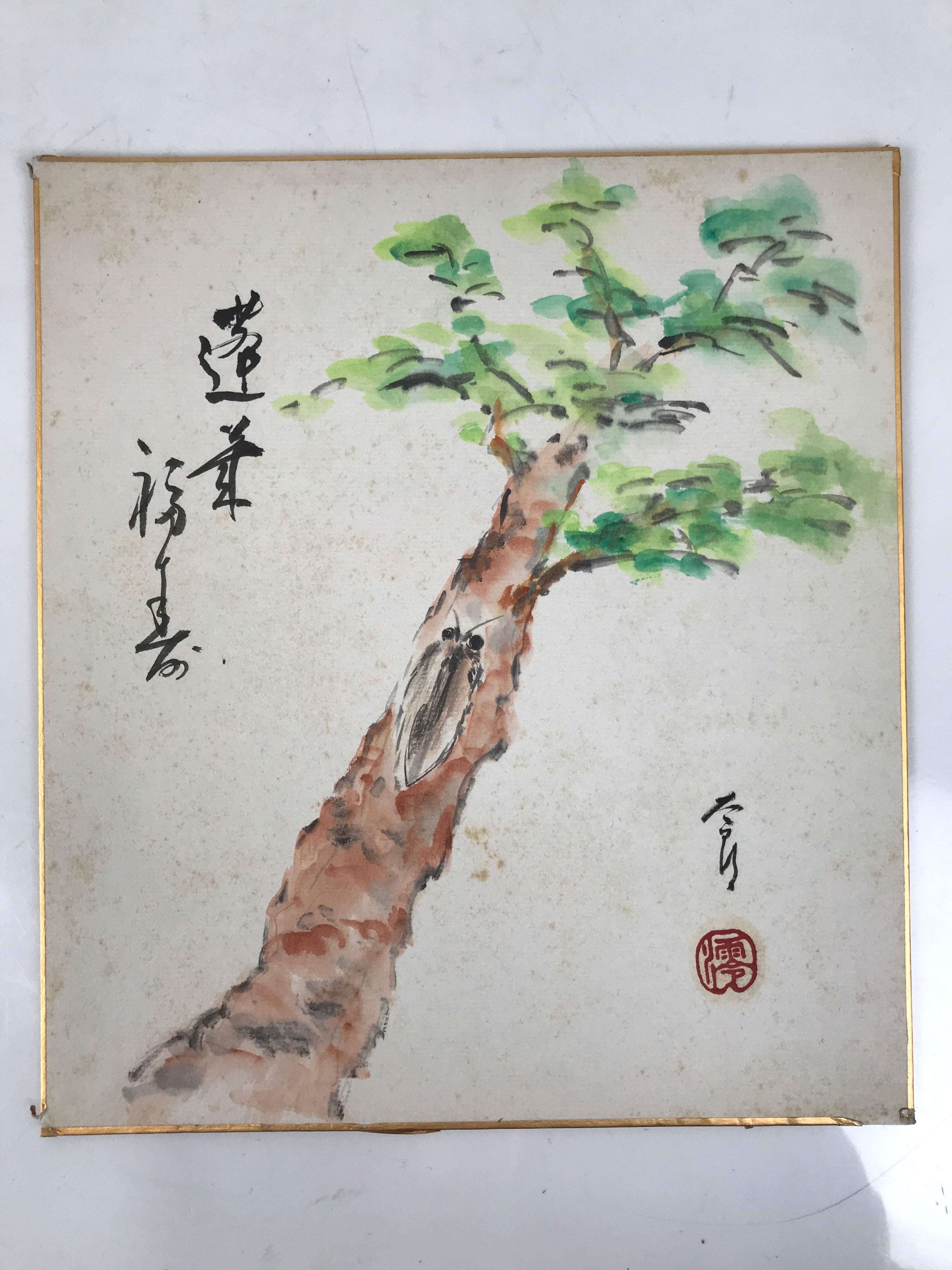 Japanese Shikishi Art Board Painting Vtg Pine Tree Cicada Summer Green A726