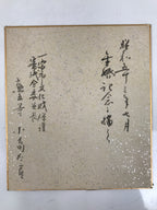 Japanese Shikishi Art Board Painting Vtg Pine Tree Cicada Summer Green A726