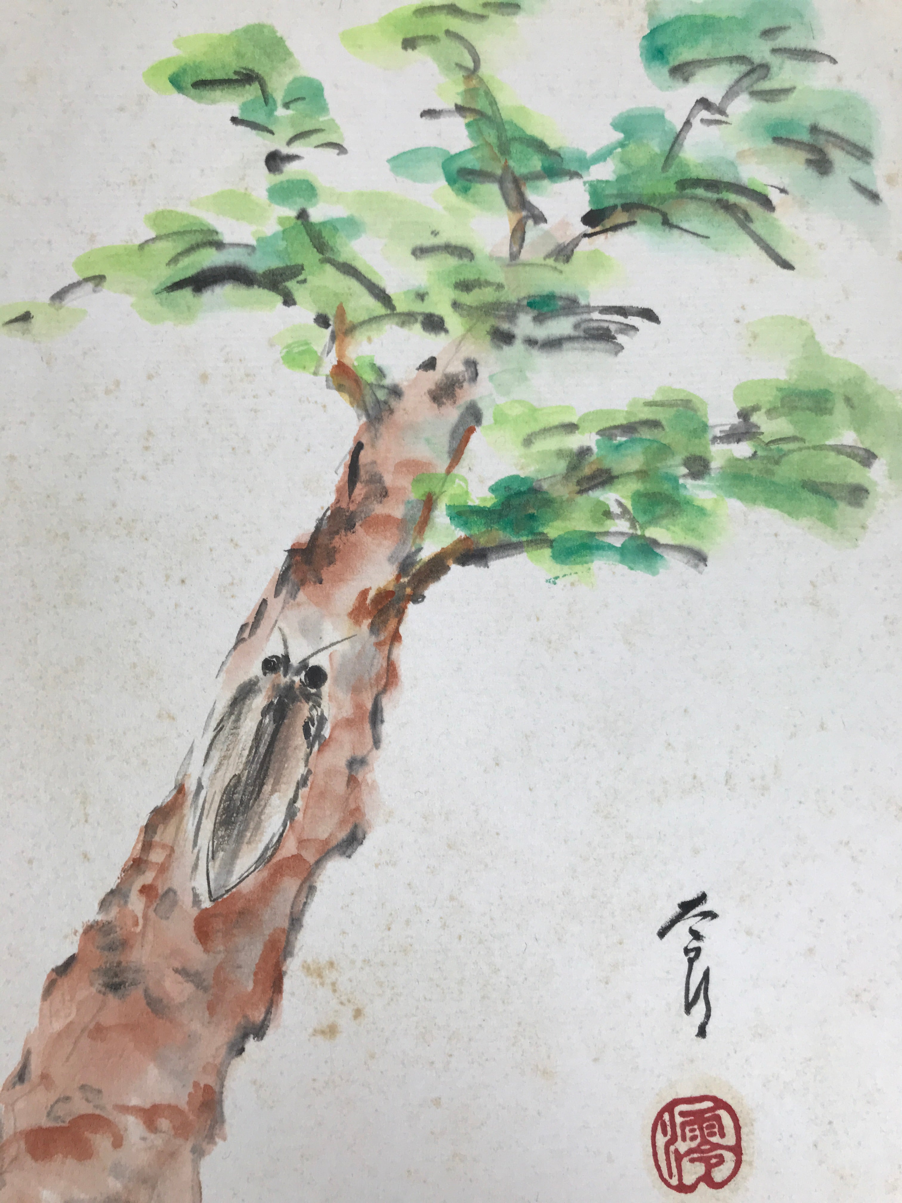 Japanese Shikishi Art Board Painting Vtg Pine Tree Cicada Summer Green A726