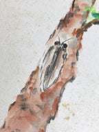 Japanese Shikishi Art Board Painting Vtg Pine Tree Cicada Summer Green A726