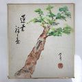 Japanese Shikishi Art Board Painting Vtg Pine Tree Cicada Summer Green A726