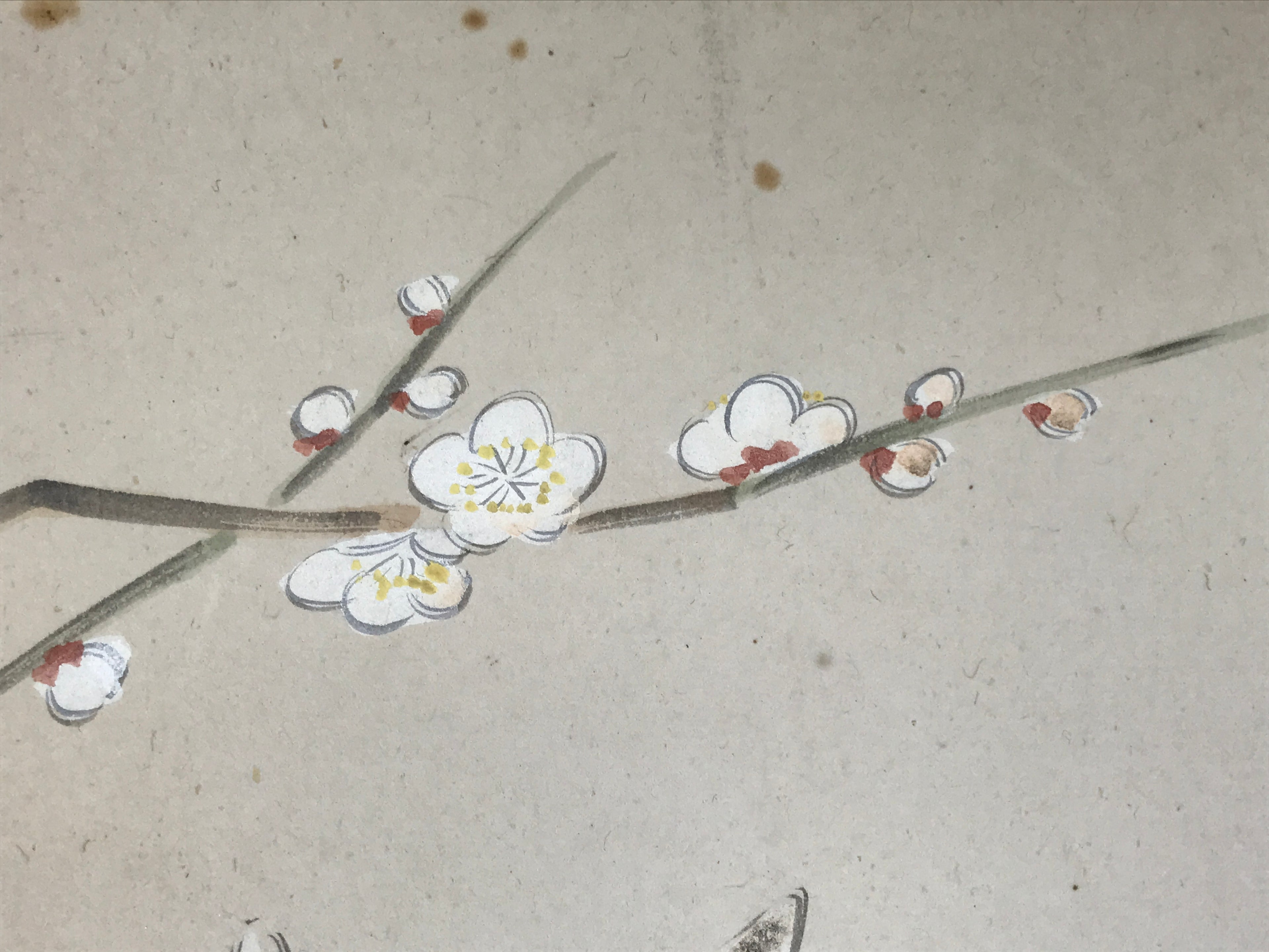 Japanese Shikishi Art Board Painting Vtg Rabbit Eto Zodiac Plum Flower A689