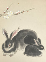 Japanese Shikishi Art Board Painting Vtg Rabbit Eto Zodiac Plum Flower A689