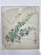Japanese Shikishi Art Board Painting Vtg Summer Grass Dragonfly Green A701