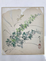 Japanese Shikishi Art Board Painting Vtg Summer Grass Dragonfly Green A701
