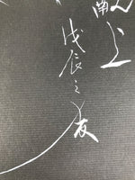 Japanese Shikishi Art Board Painting Vtg White Uchiwa Fan Black Background A705