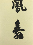 Japanese Shikishi Art Board Painting Vtg Zen Calligraphy Black A676