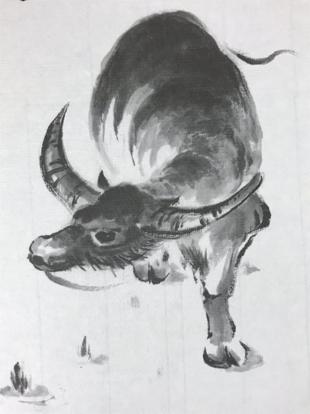 Japanese Shikishi Art Board Painting Water Buffalo Black Monochrome A591