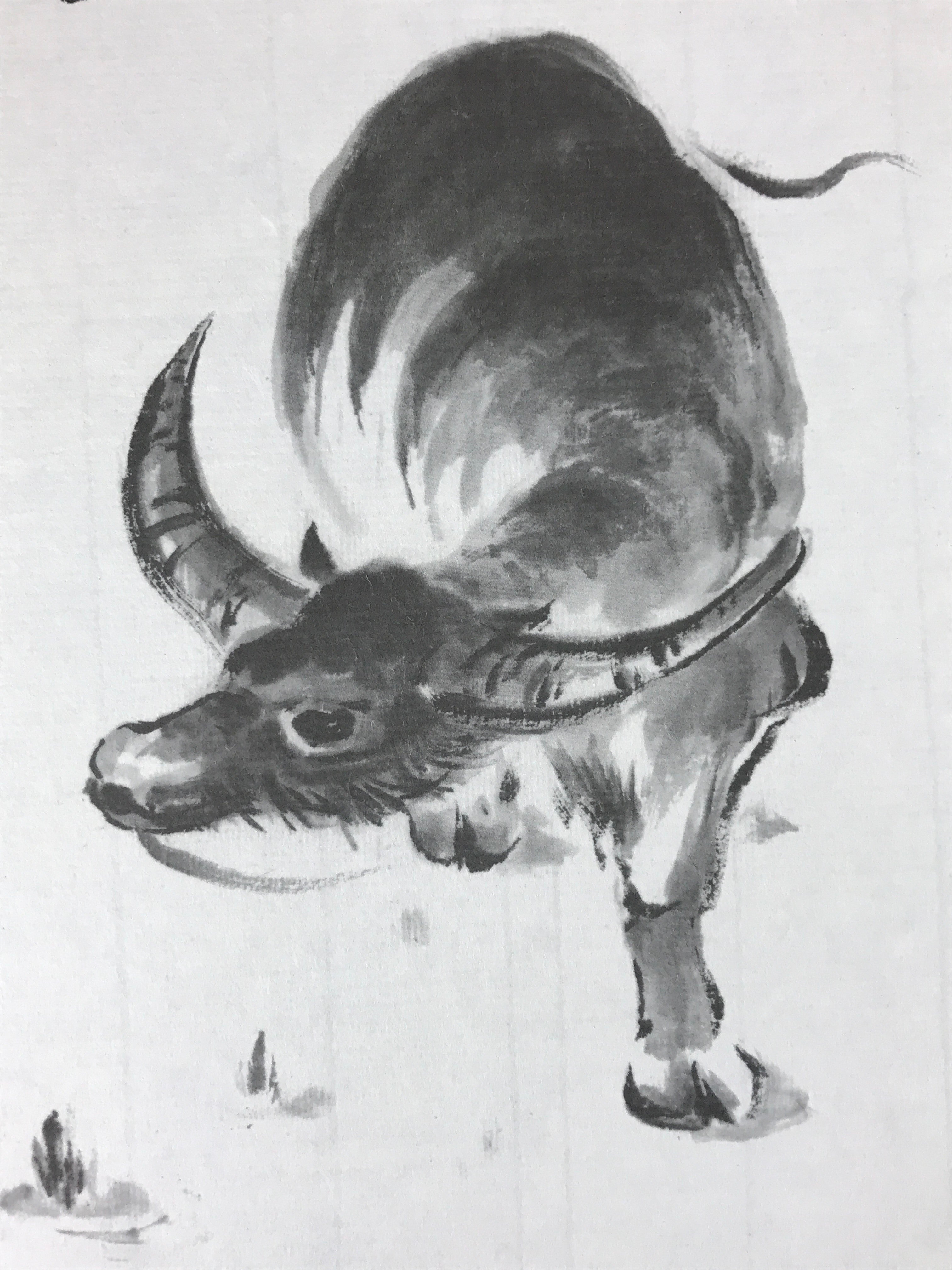 Japanese Shikishi Art Board Painting Water Buffalo Black Monochrome A591