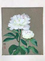 Japanese Shikishi Art Board Painting White Peony Flowers Green Nature A587