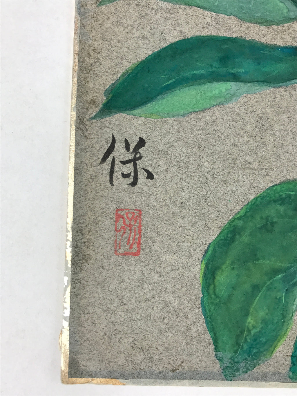 Japanese Shikishi Art Board Painting White Peony Flowers Green Nature A587