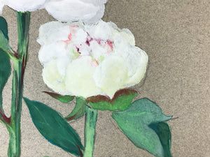 Japanese Shikishi Art Board Painting White Peony Flowers Green Nature A587
