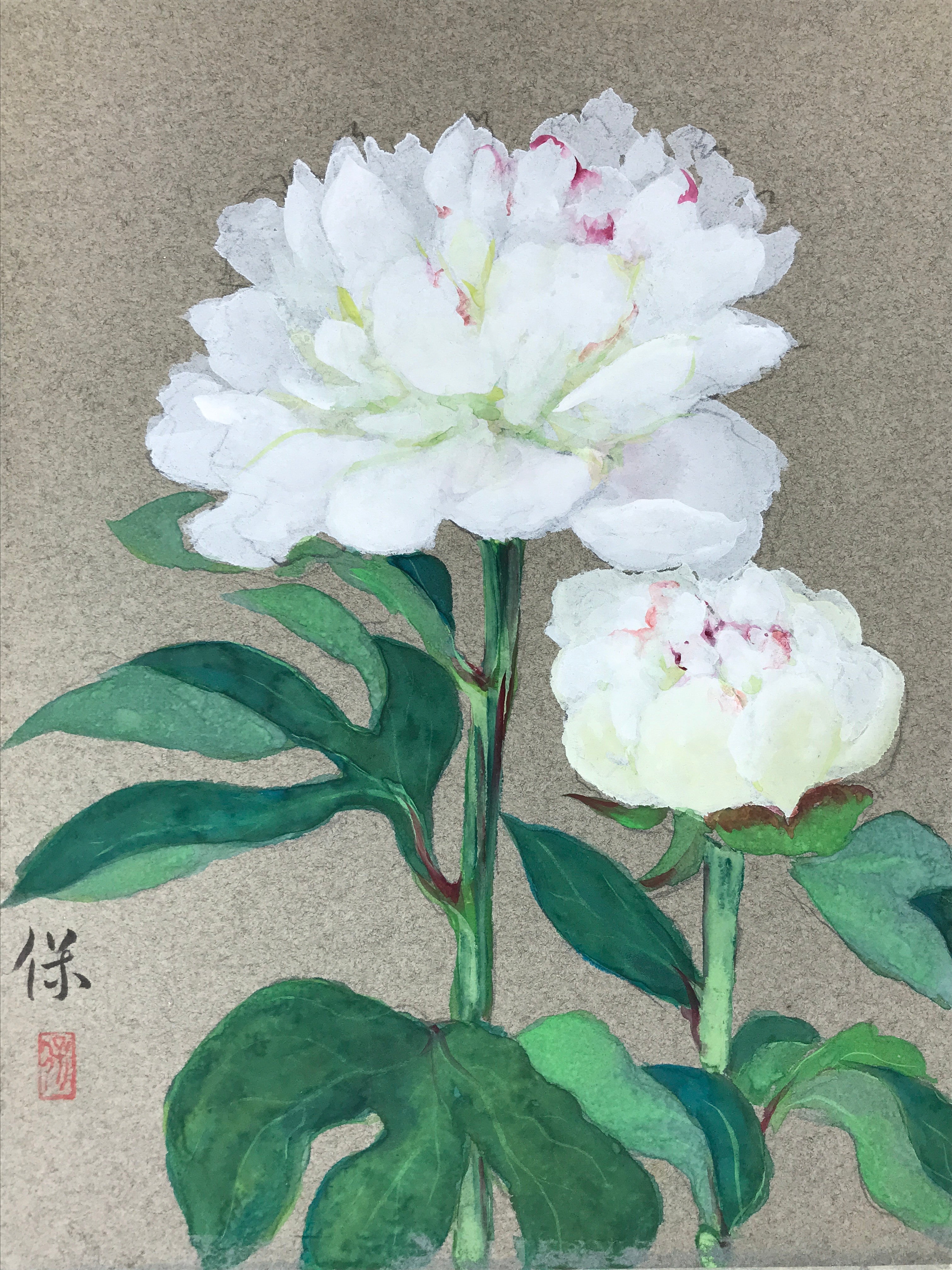 Japanese Shikishi Art Board Painting White Peony Flowers Green Nature A587
