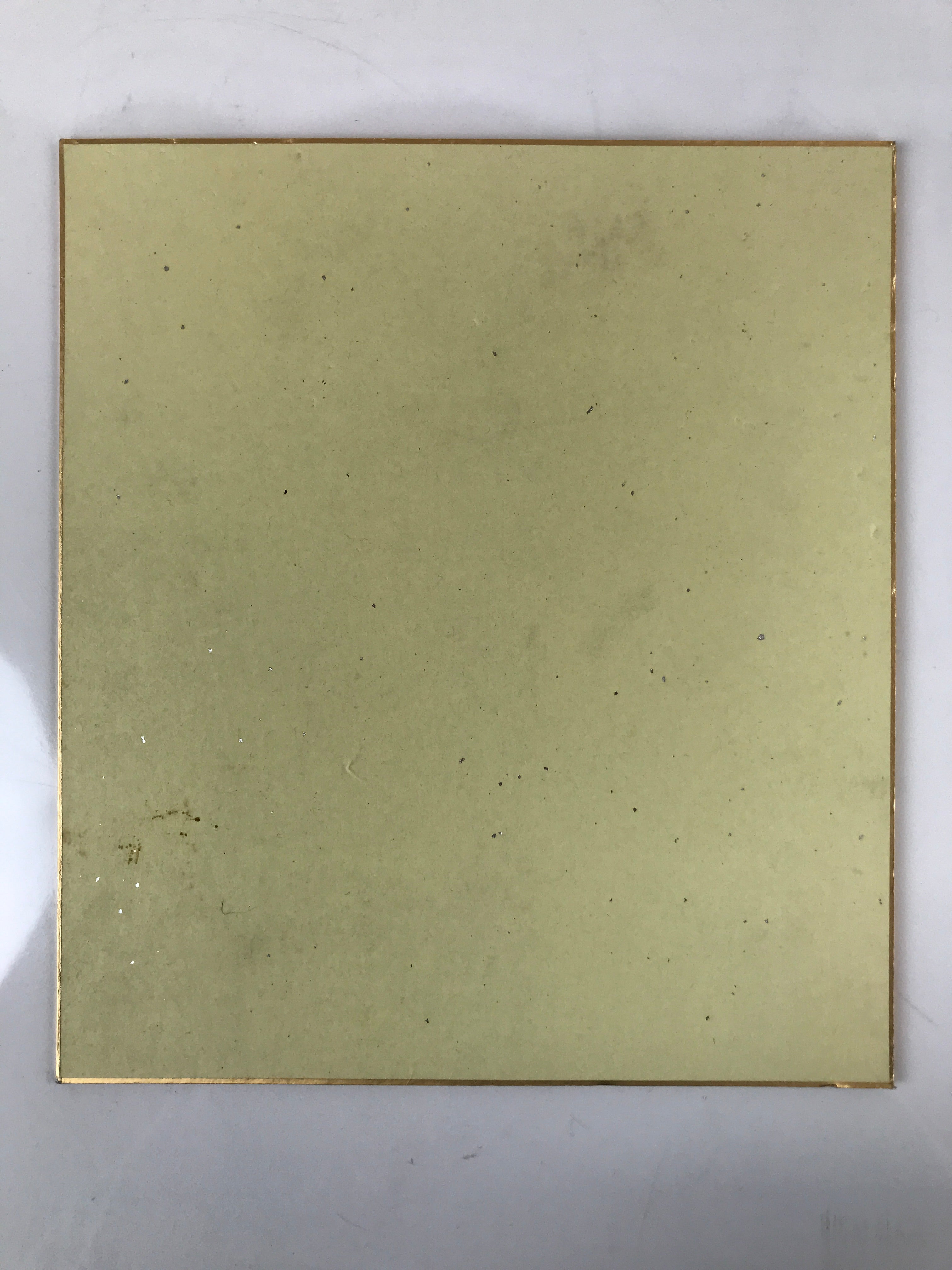 Japanese Shikishi Art Board Picture Vtg Katagami Stencil Crane Turtle Brown A651