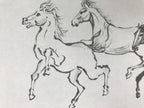 Japanese Shikishi Art Board Reproduction Horse Zodiac Calligraphy Black A816