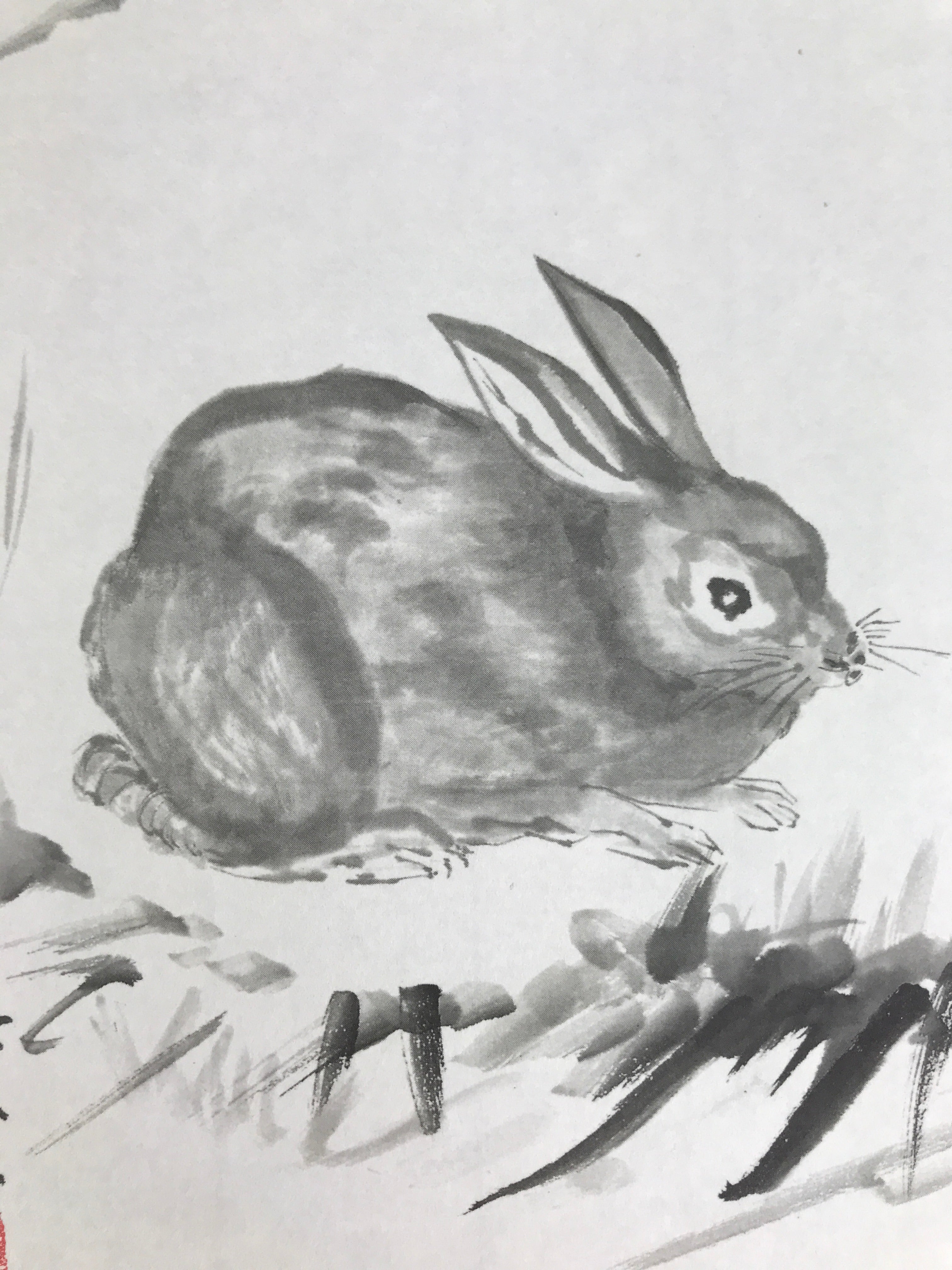 Japanese Shikishi Art Board Reproduction Rabbit Zodiac Animal Monochrome A811