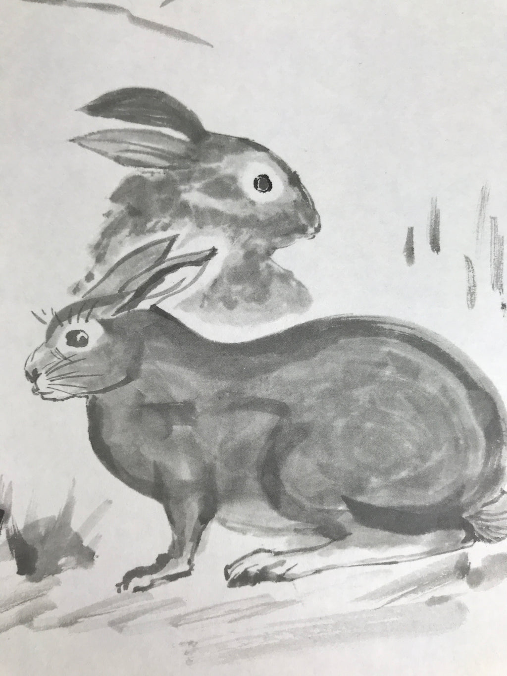 Japanese Shikishi Art Board Reproduction Rabbit Zodiac Animal Monochrome A811