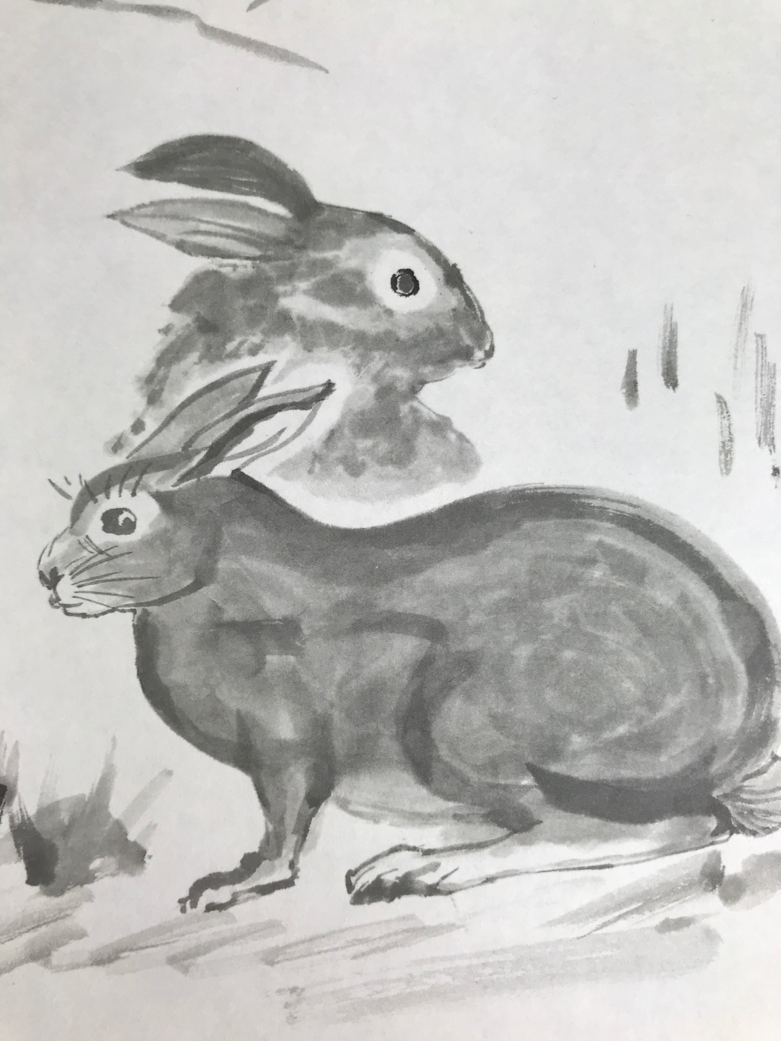 Japanese Shikishi Art Board Reproduction Rabbit Zodiac Animal Monochrome A811