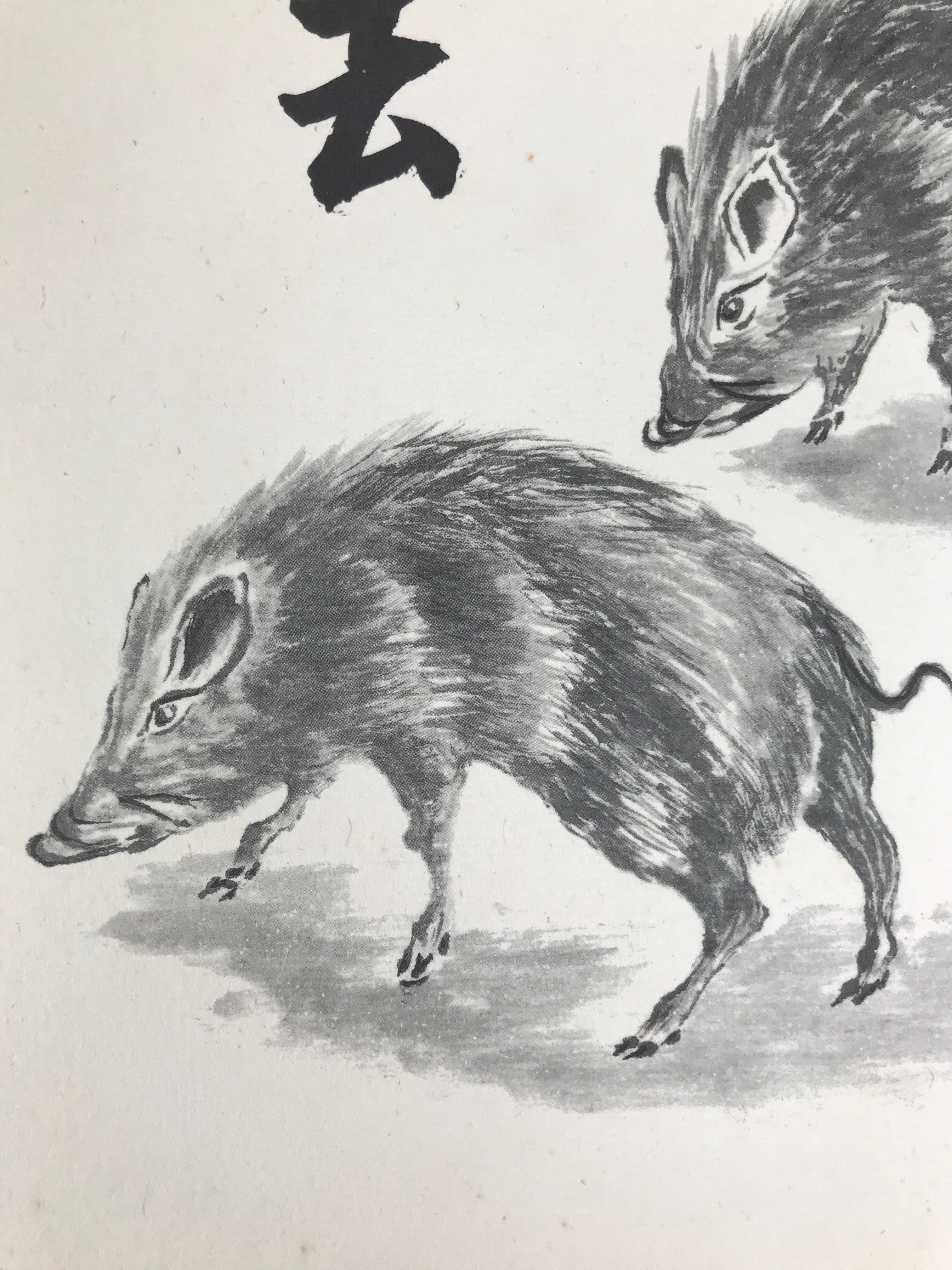 Japanese Shikishi Art Board Reproduction Vtg Boar Zen Word Black