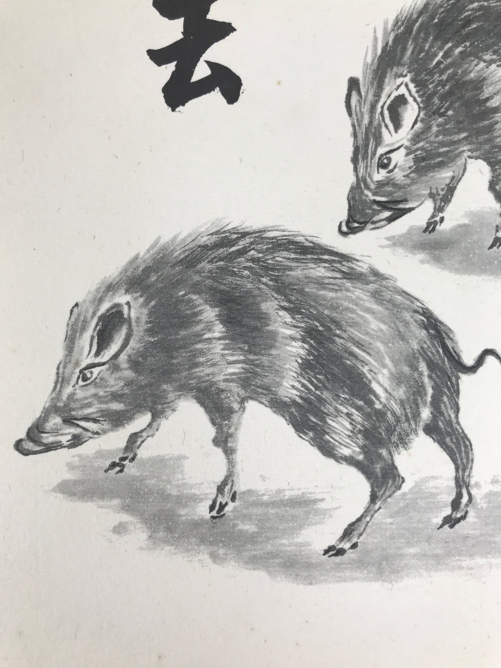 Japanese Shikishi Art Board Reproduction Vtg Boar Zen Word Black Monochrome A768
