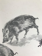 Japanese Shikishi Art Board Reproduction Vtg Boar Zen Word Black Monochrome A768