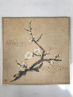 Japanese Shikishi Art Board Reproduction Vtg Plum Ume Flower Tree Branch A696