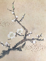 Japanese Shikishi Art Board Reproduction Vtg Plum Ume Flower Tree Branch A696