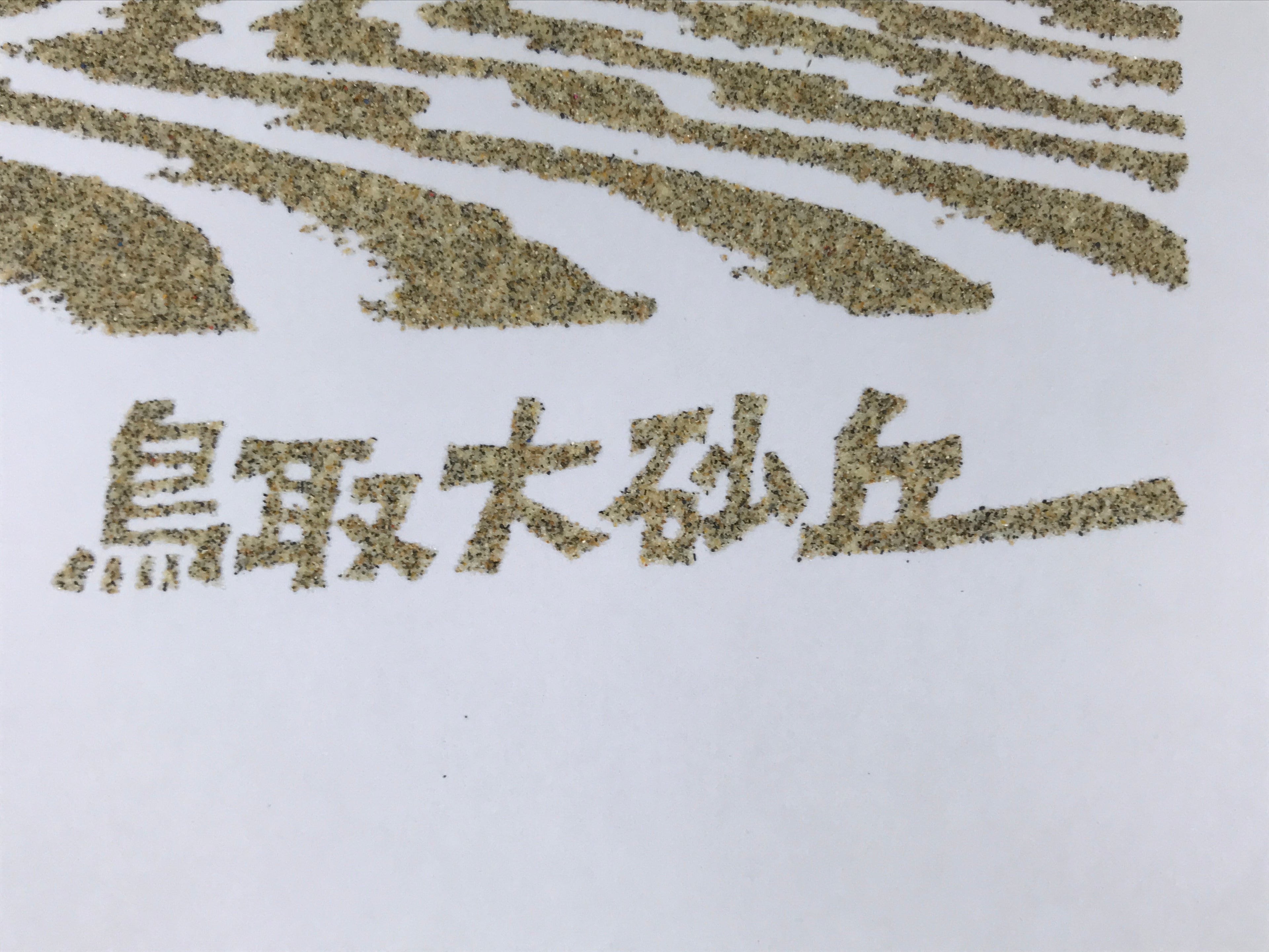 Japanese Shikishi Art Board Souvenir Vtg Tottori Sand Dune Camel Yellow A695