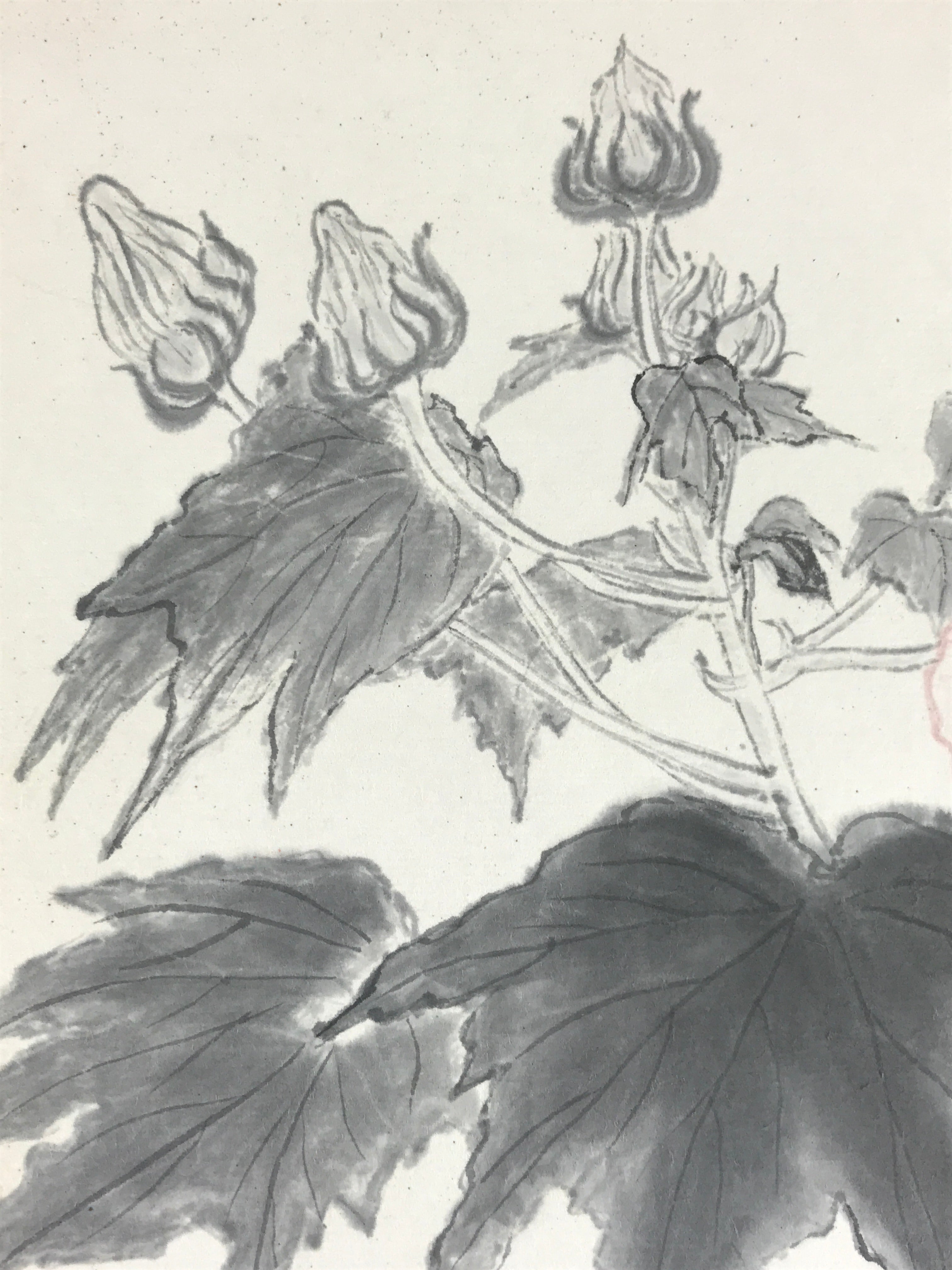 Japanese Shikishi Art Board Vtg Art Painting Nihonga Picture Display Hibiscus A5