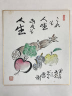 Japanese Shikishi Art Board Vtg Art Painting Nihonga Picture Display Pink Flower