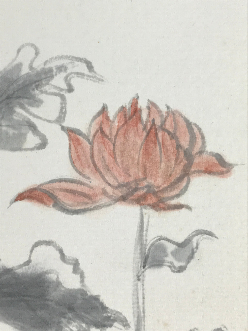 Japanese Shikishi Art Board Vtg Painting Nihonga Picture Chrysanthemums A522