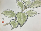 Japanese Shikishi Art Board Vtg Painting Nihonga Picture Hydrangea Ajisai A526