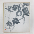 Japanese Shikishi Art Board Vtg Painting Nihonga Picture Hyotan Gourd Vines A521