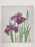 Japanese Shikishi Art Board Vtg Painting Nihonga Picture Iris Hanashoubu A523