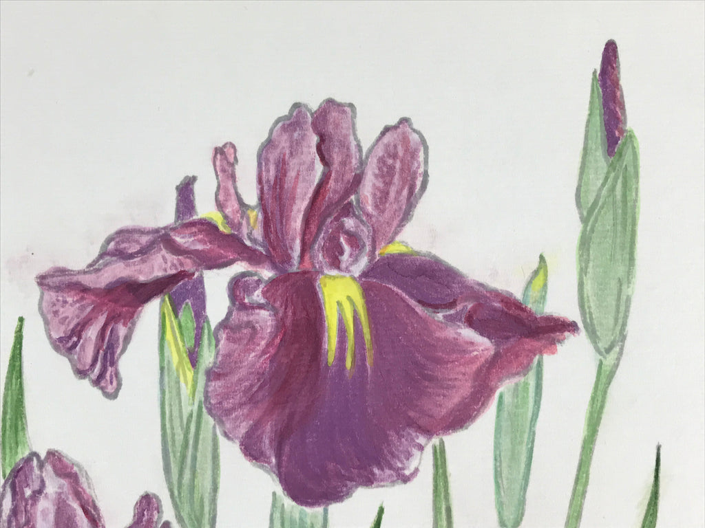 Japanese Shikishi Art Board Vtg Painting Nihonga Picture Iris Hanashoubu A523