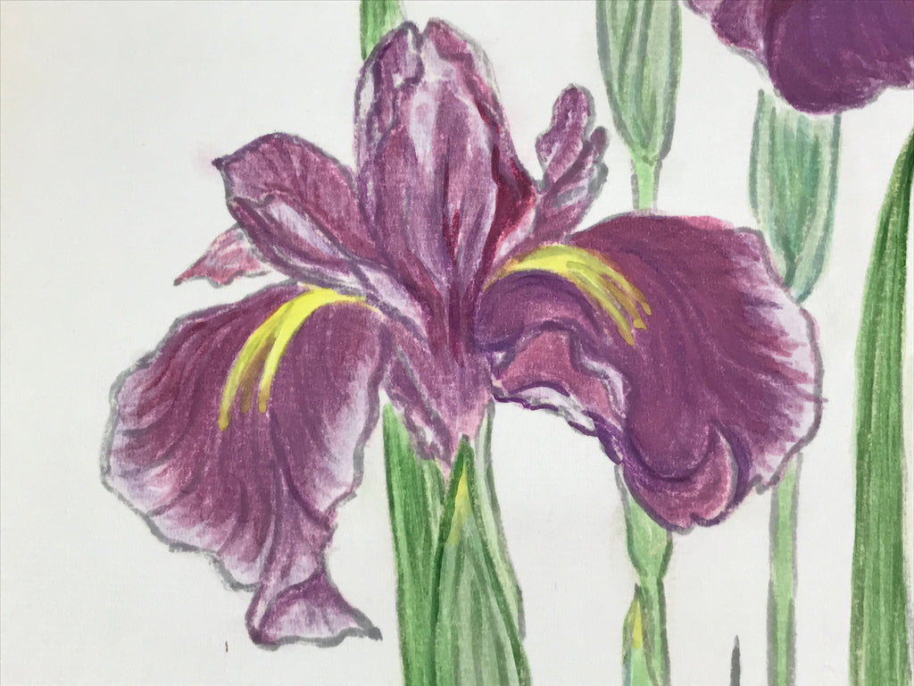 Japanese Shikishi Art Board Vtg Painting Nihonga Picture Iris Hanashoubu A523
